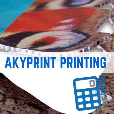 AKYPRINT BOARD PRINTING