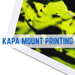 KAPA BOARD PRINTING