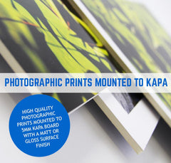 KAPA FOAM BOARD PRINT AND MOUNTED